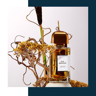 The Autumn Edit: <br> 5 woody elixirs to indulge in